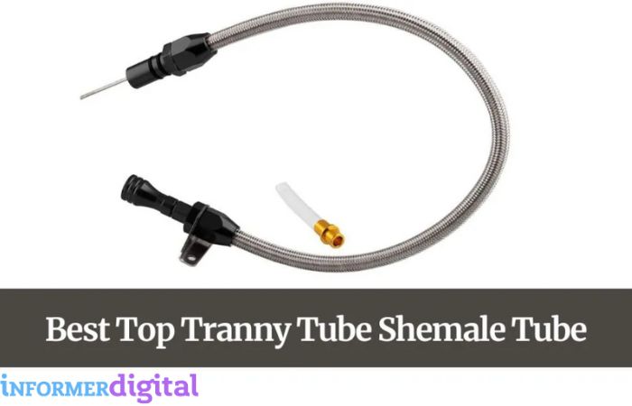 The Top 10 Best Tranny Tubes - Shemale Tube